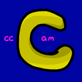 ccCam cover art